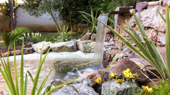 Le Verger des Kouros - 9