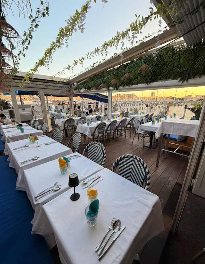 Brasserie New Terrasse - 0