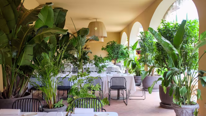 Tre Rane - Ruffino - 7