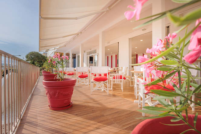 Rosso Datterino - 4