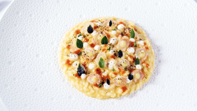 Maestro's Terrace - Positano - 4