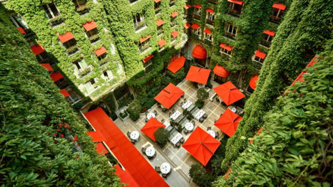La Cour Jardin – Hôtel Plaza Athénée - Paris - 6