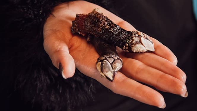 O'Peregrino - Gastromar - 1