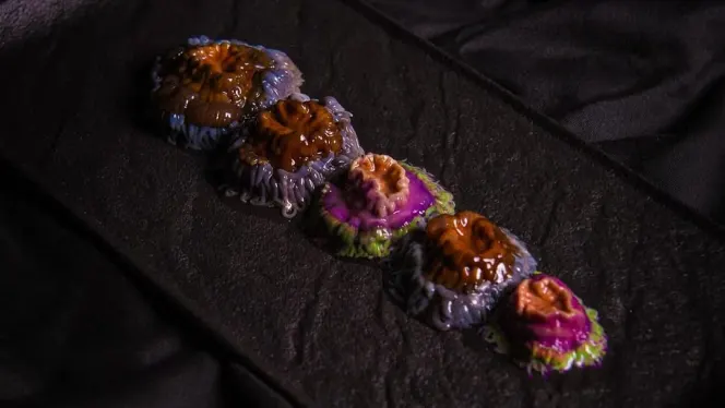 O'Peregrino - Gastromar - 0