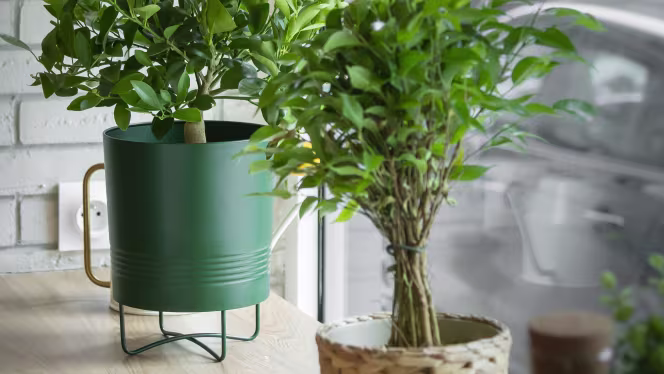 So Noodles - Paris - 4