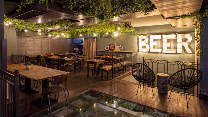 Braumeister Beer & Kitchen - 0