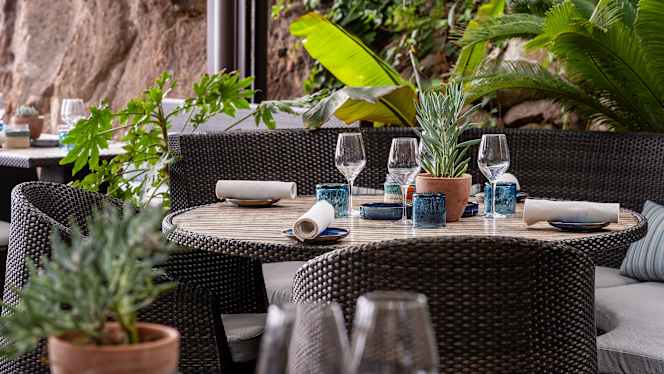 MoYa Beach Club – Tiara Miramar Beach Resort - 7