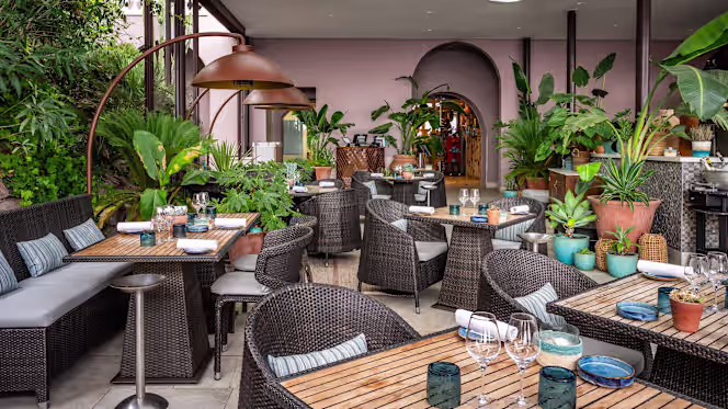 MoYa Beach Club – Tiara Miramar Beach Resort - 4