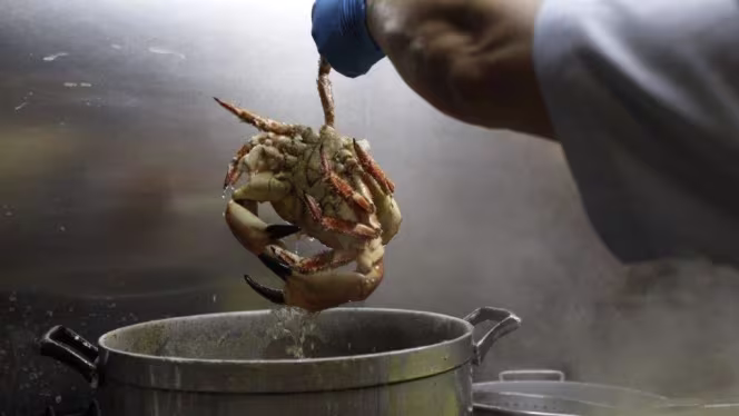 Cervejaria Ramiro - 4