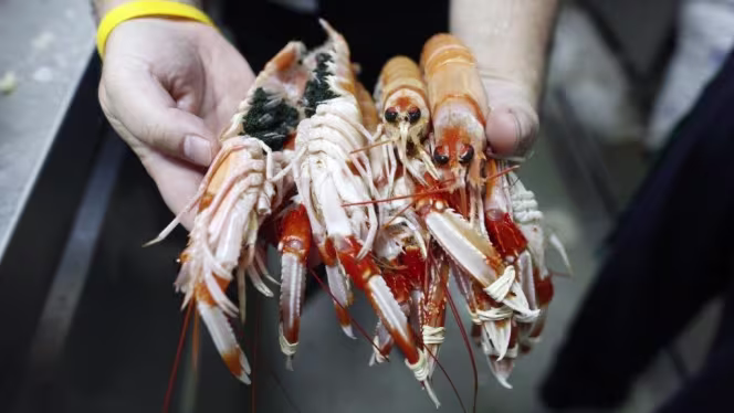 Cervejaria Ramiro - 5