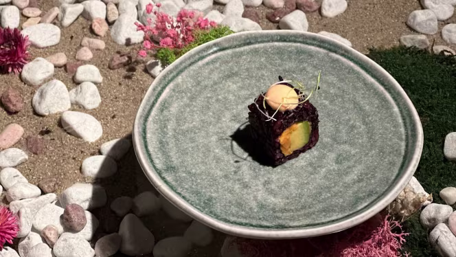 Emira Vegan Sushi - 5