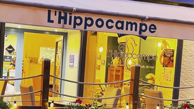 L'hippocampe - 6