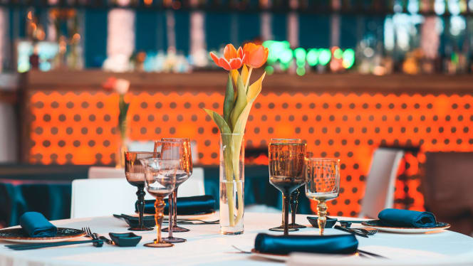 52C - Japan Fusion Experience - 2