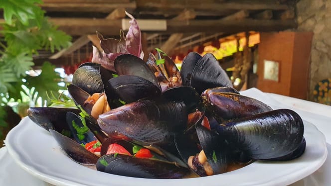 Agriturismo Fattoria Terranova - 7