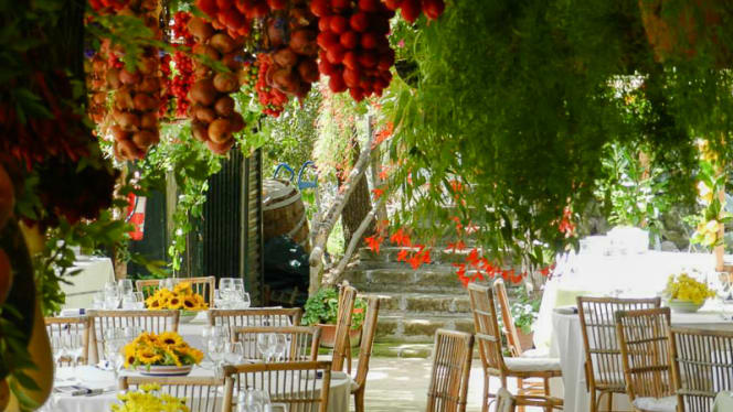 Agriturismo Fattoria Terranova - 9