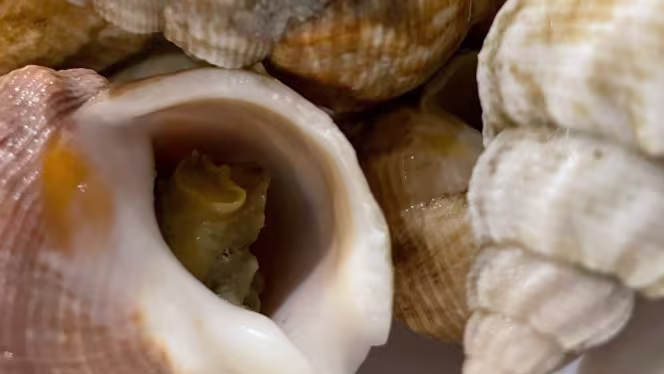 Le Bistrot Napoleon - 5