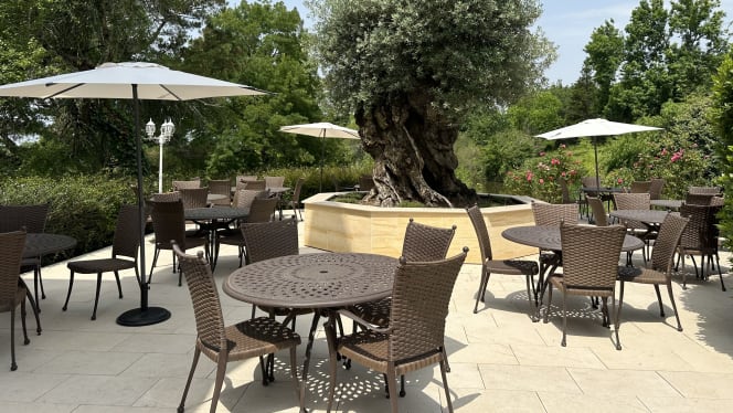 Le jardin des Mirabelles - 7