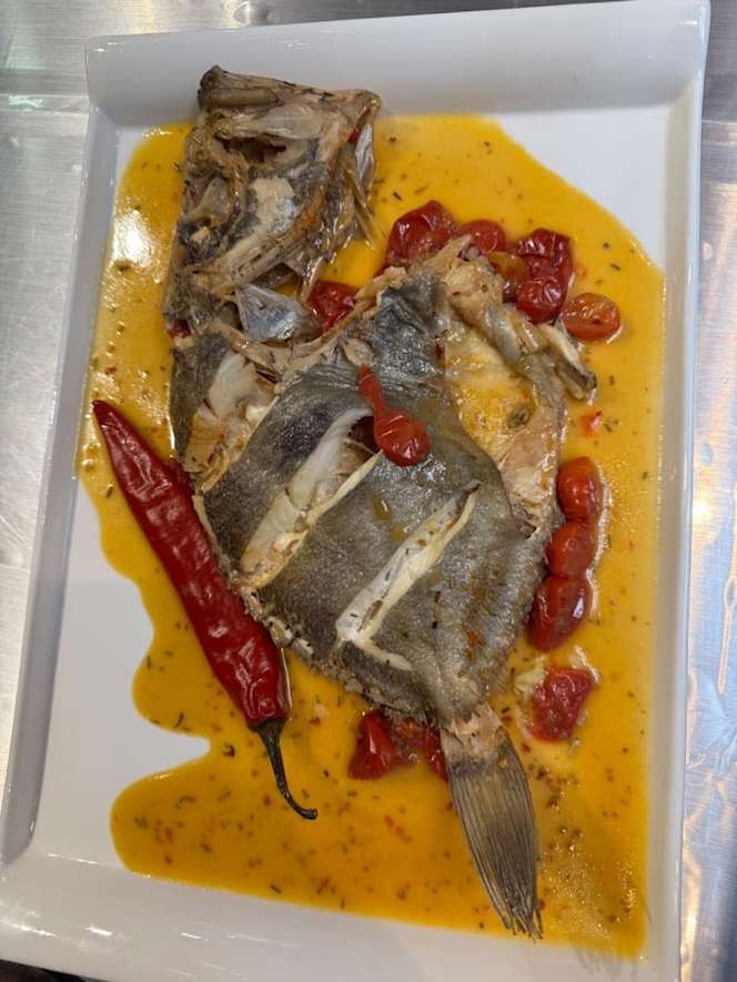 Arditi Fisherman - 0