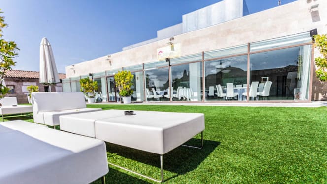 La Terraza del Mercado - 8