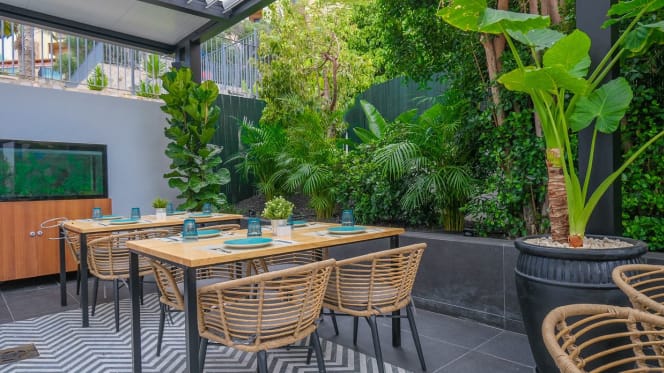 Marietta Tenerife - 1