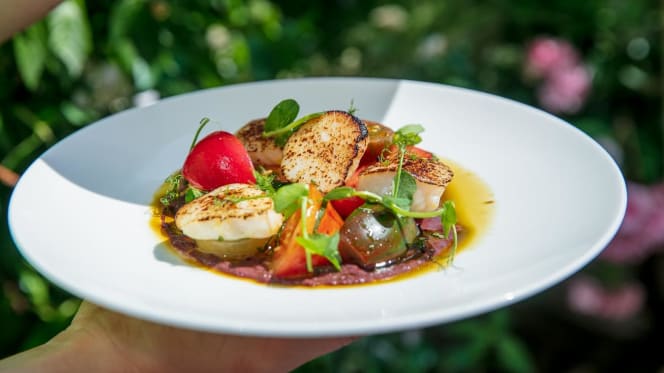 Bluebird Chelsea - 5