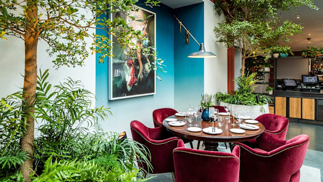 Bluebird Chelsea - 8