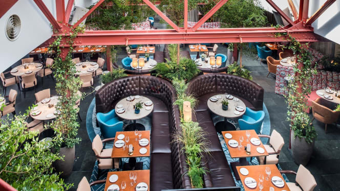 Bluebird Chelsea - 7