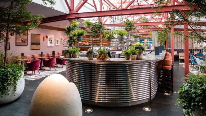 Bluebird Chelsea - 6