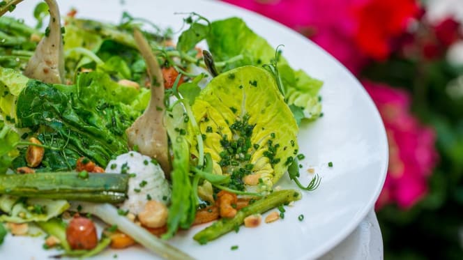 Bluebird Chelsea - 4