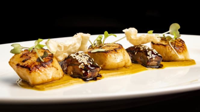 Dakota Manchester - 2