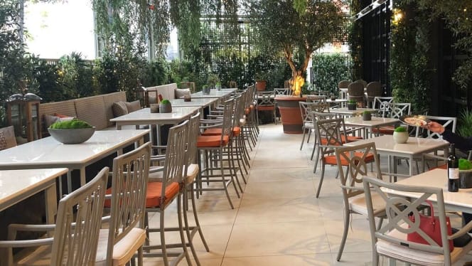 Dakota Manchester - 3