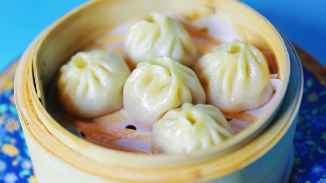 Bokok Merlata Bloom - 5