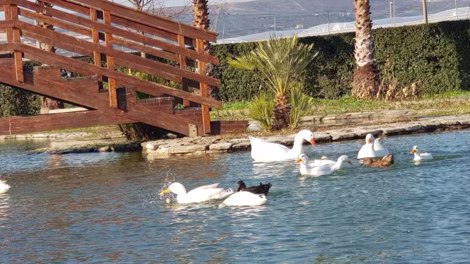 Agriturismo Adelizzi - 5