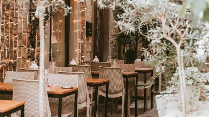 Platea - 9