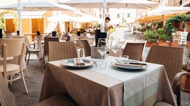 Platea - 7