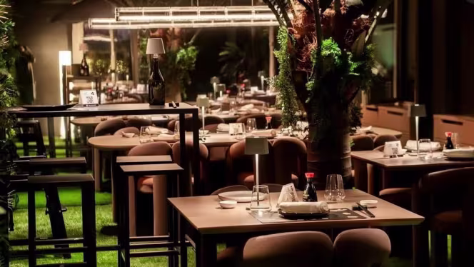 Live Fusion Restaurant - 4