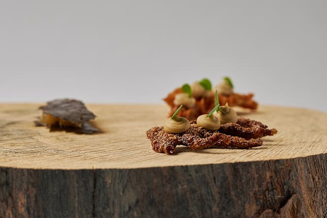 Bernardo Tavola Temporanea - 5