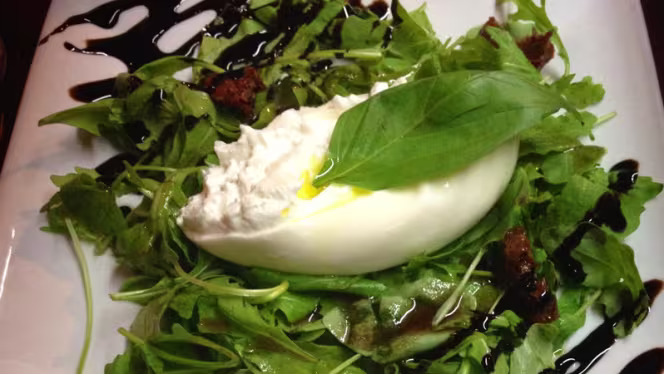 Swann et Vincent 15è - 4