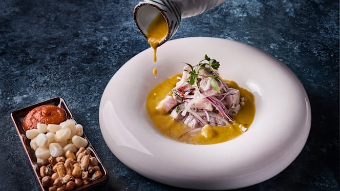 Pucará Orígenes - 2