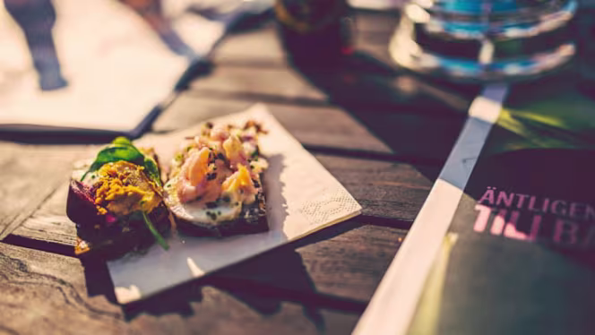 Barken Viking - Goteborg - 8