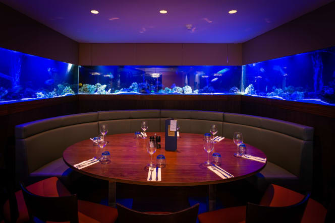 The SeaShell of Lisson Grove - 6