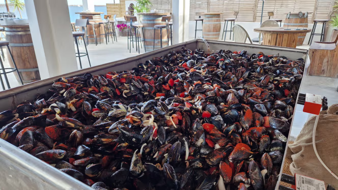 Les pieds dans l'eau - 1