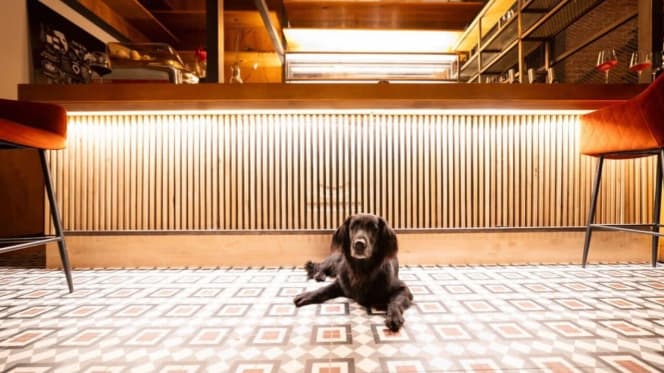 nineOfive Vienna - 2