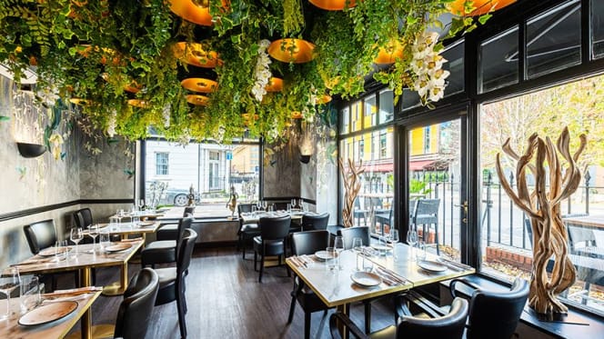 Sticky Mango Waterloo - 5