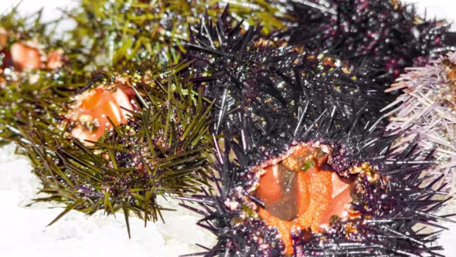 L'Ecume Gourmande - 7