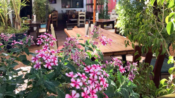 Piri Piri d'Almancil - 9