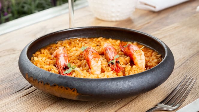 Can Bonet Madrid - 9