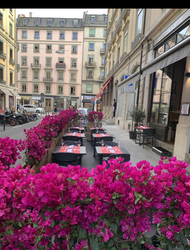 Boccadasse Ristorante Pizzeria - 7