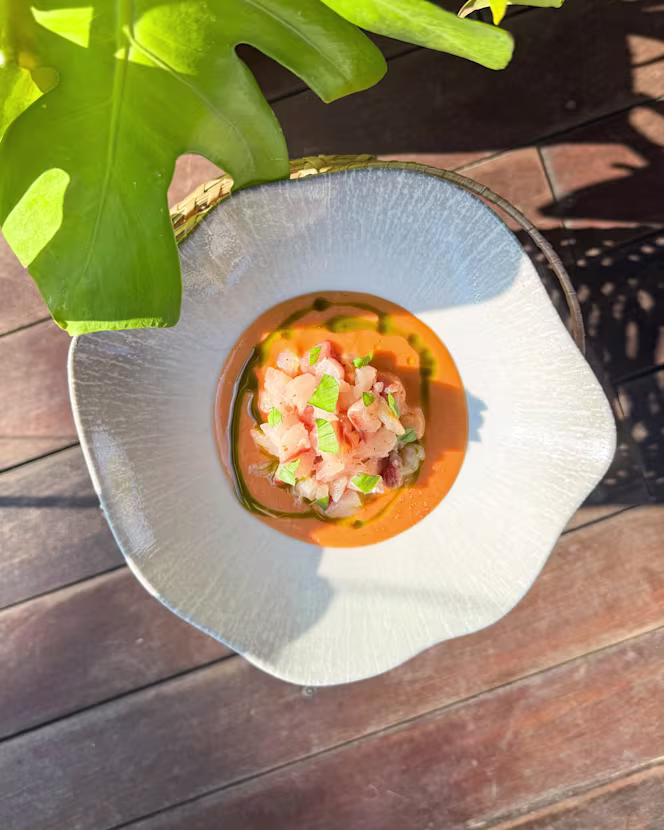 Calypso Bistrotteria di Mare - 2