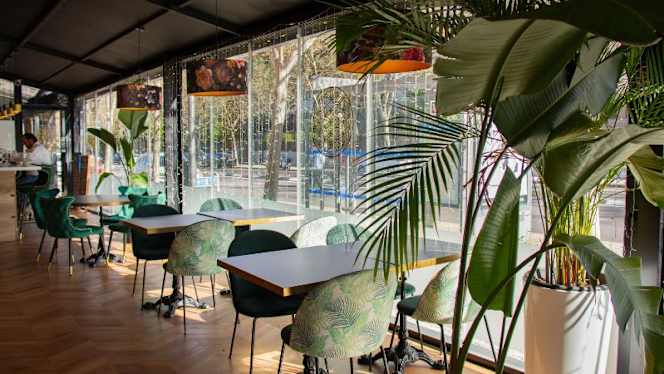 De Origen Gastrobar - 6